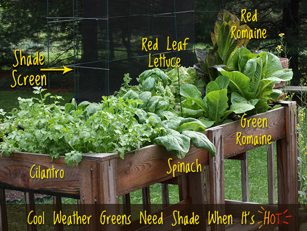 5 Tips for Successful Container Gardening 5 Tips for Successful Container Gardening from SoupAddict